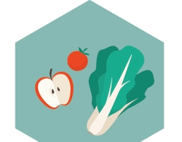 Support Immune Health